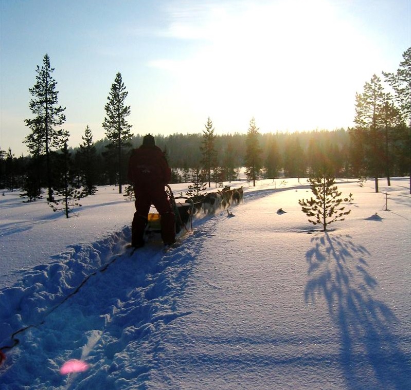 Wintertour_Skandinavien Wintertour_Skandinavien