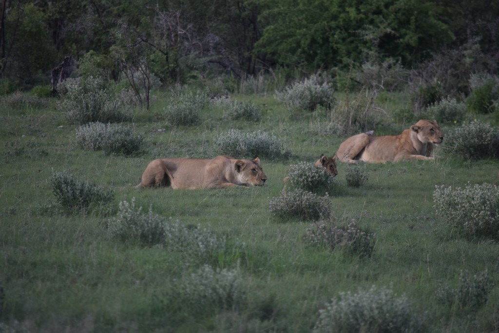 Namibia_Reise Namibia_Reise