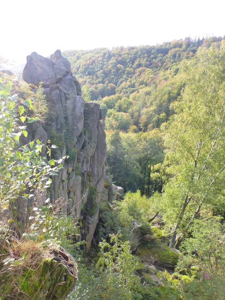 P1010471.jpg