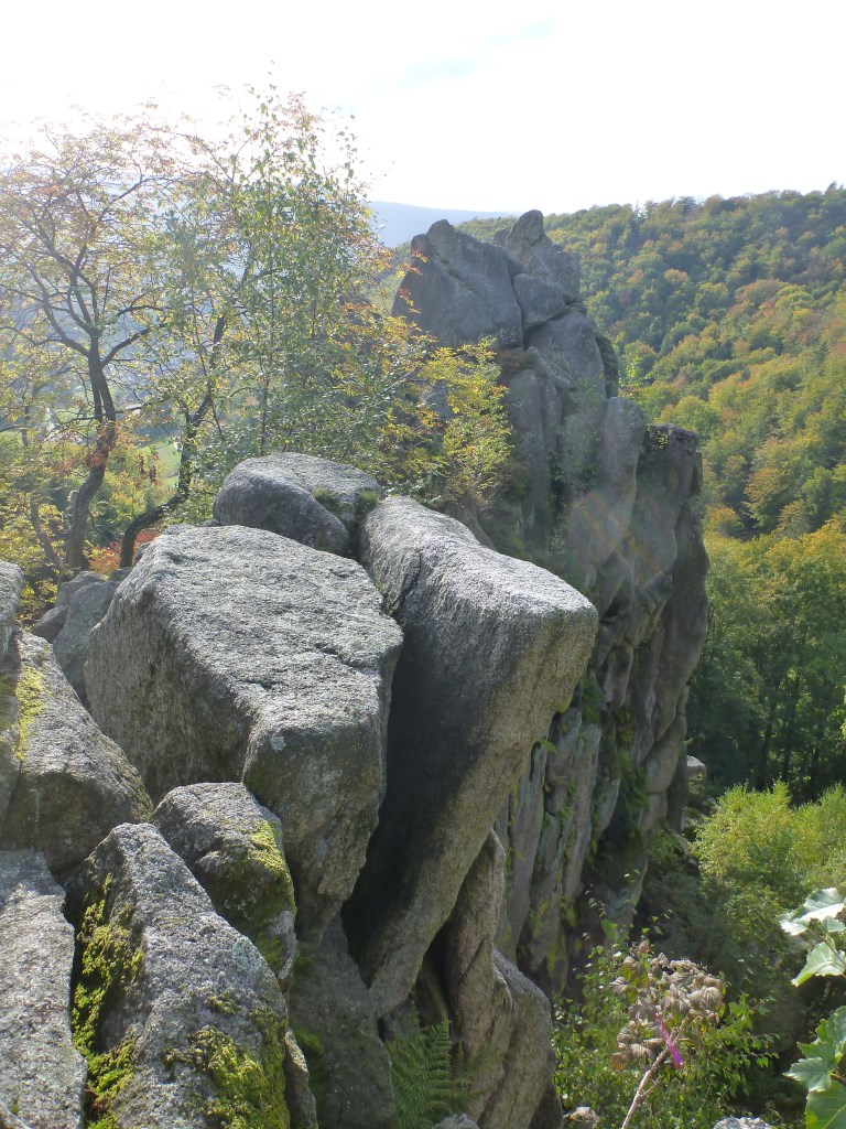 P1010472.jpg