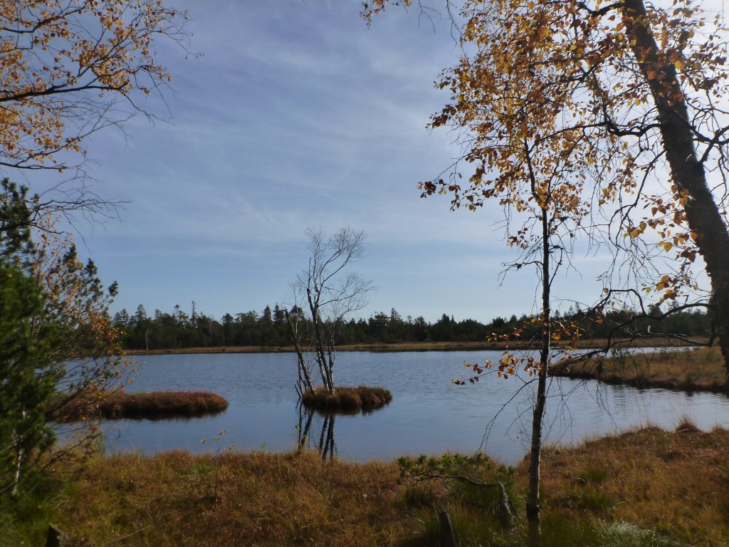 P1010487.jpg