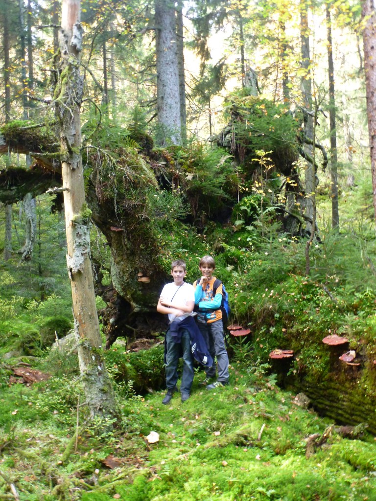 P1010497.jpg