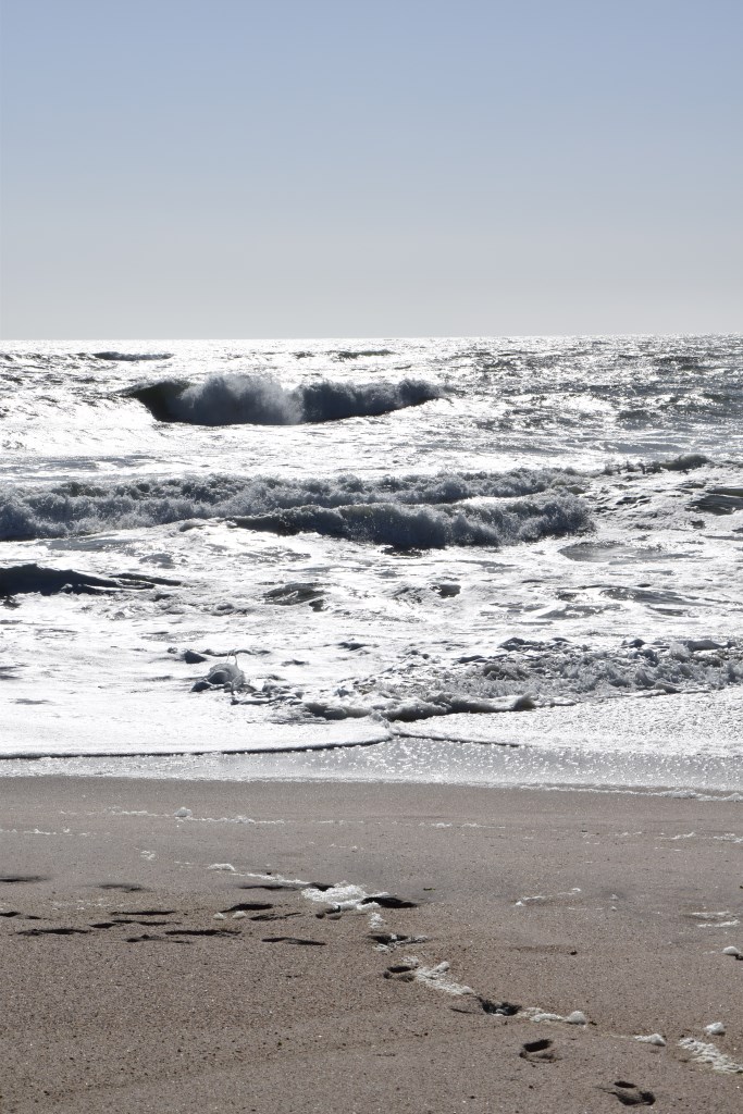 DSC_0033.jpg