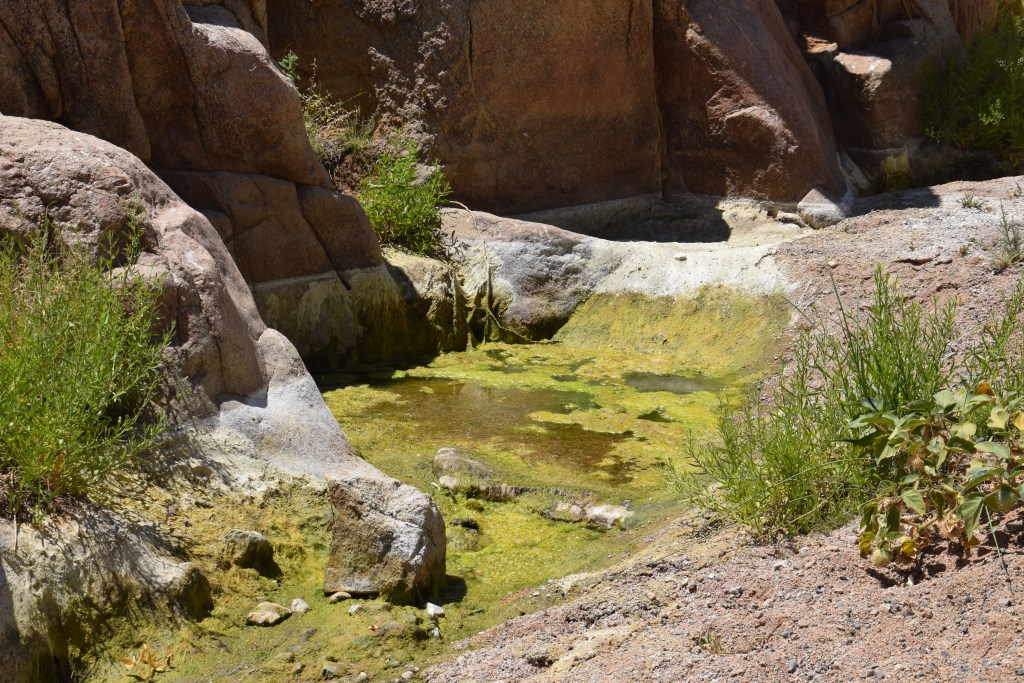 DSC_0162.jpg