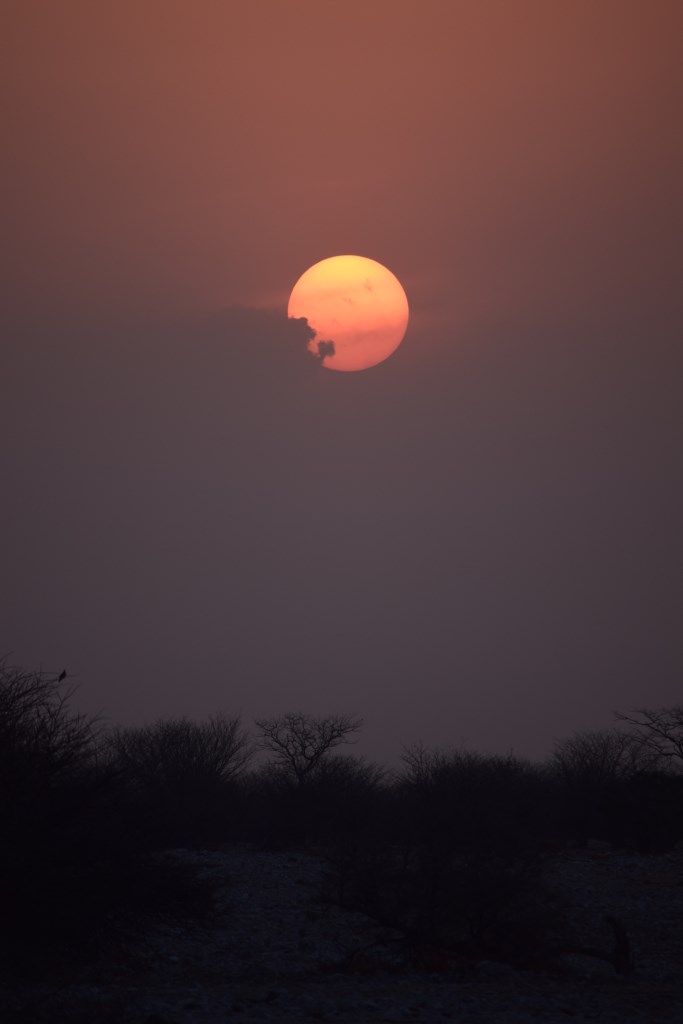 DSC_0571.jpg