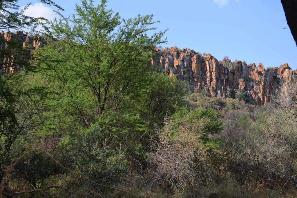 DSC_0768.jpg