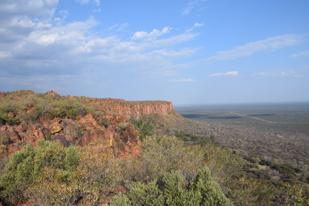 DSC_0803.jpg