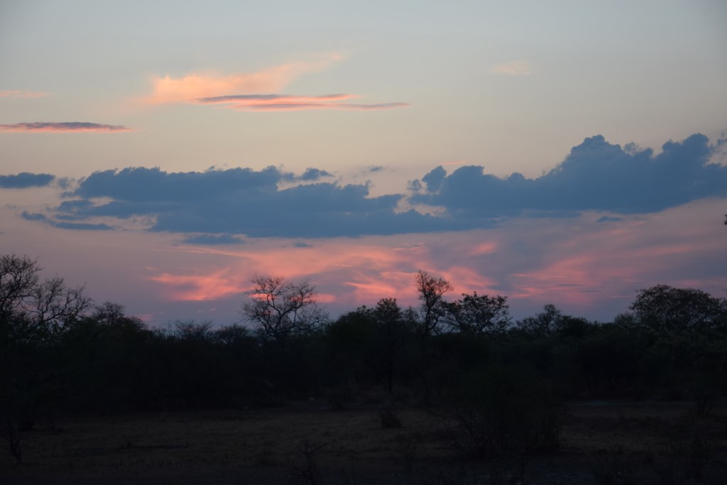 DSC_1164.jpg