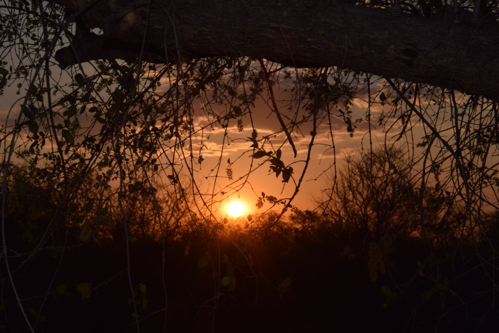 DSC_1180.jpg