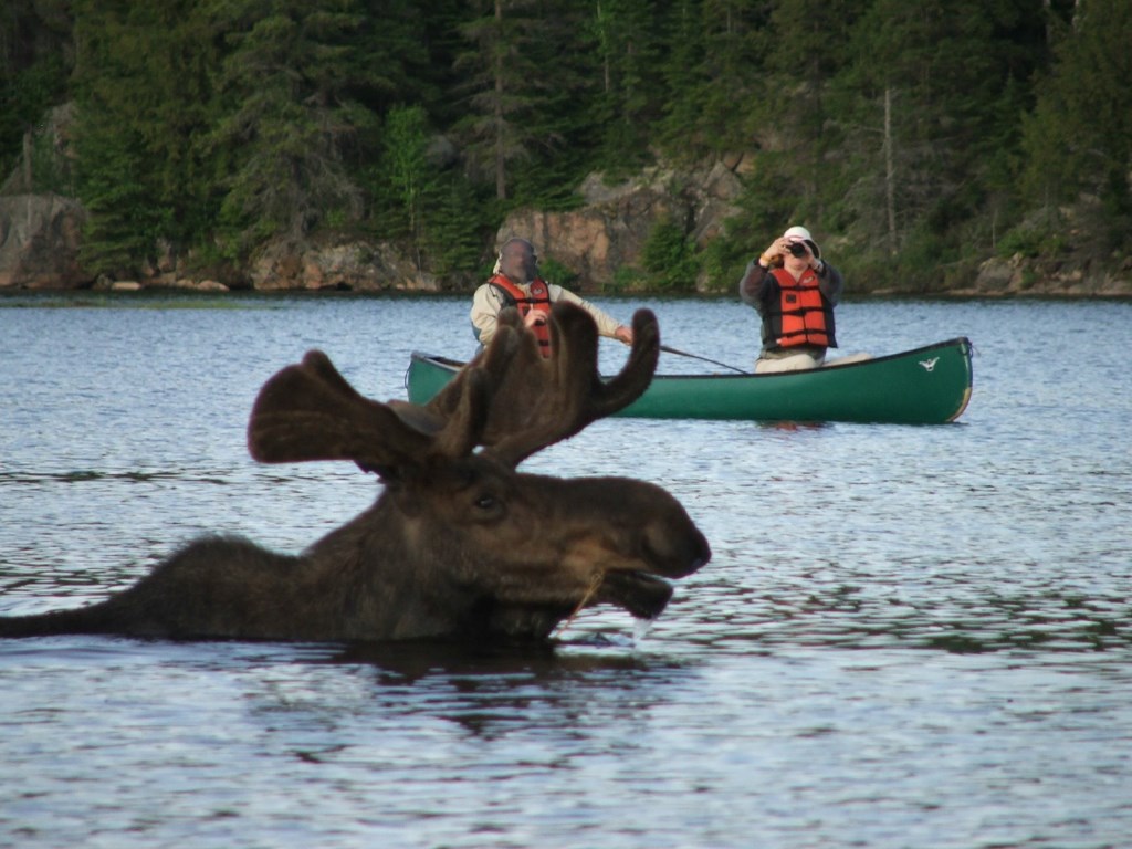 big_salmon_river_15.jpg
