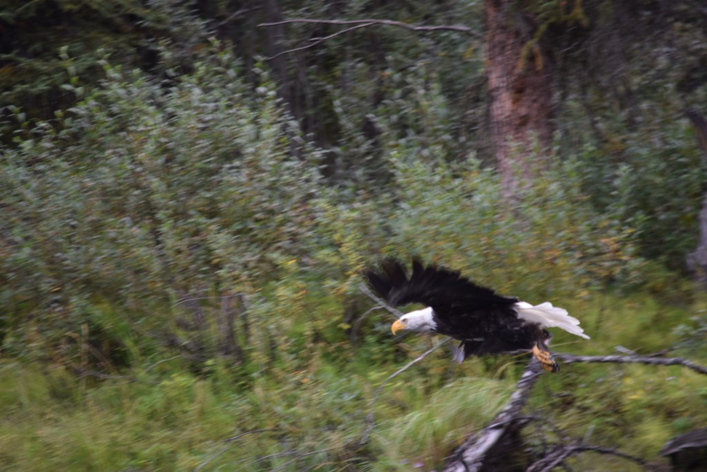 DSC_0283.jpg