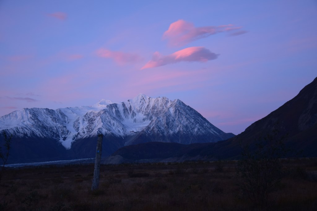 DSC_0873.jpg