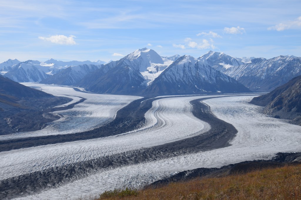 DSC_0977.jpg