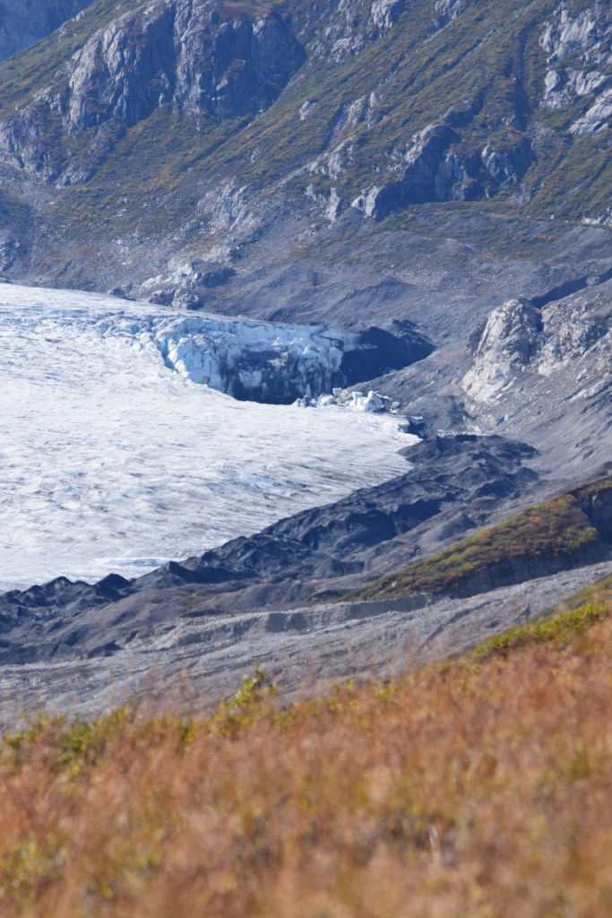 DSC_1034.jpg