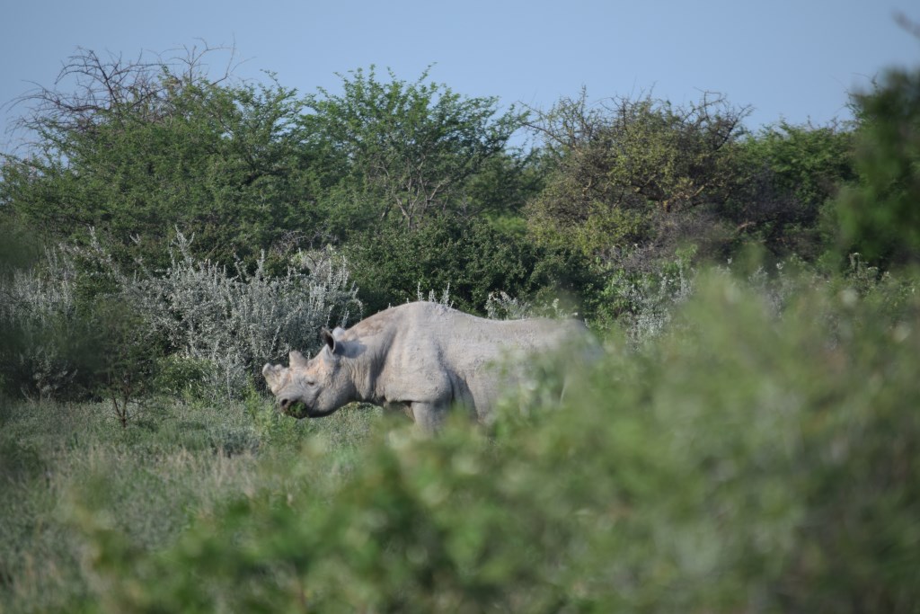 DSC_0693.jpg
