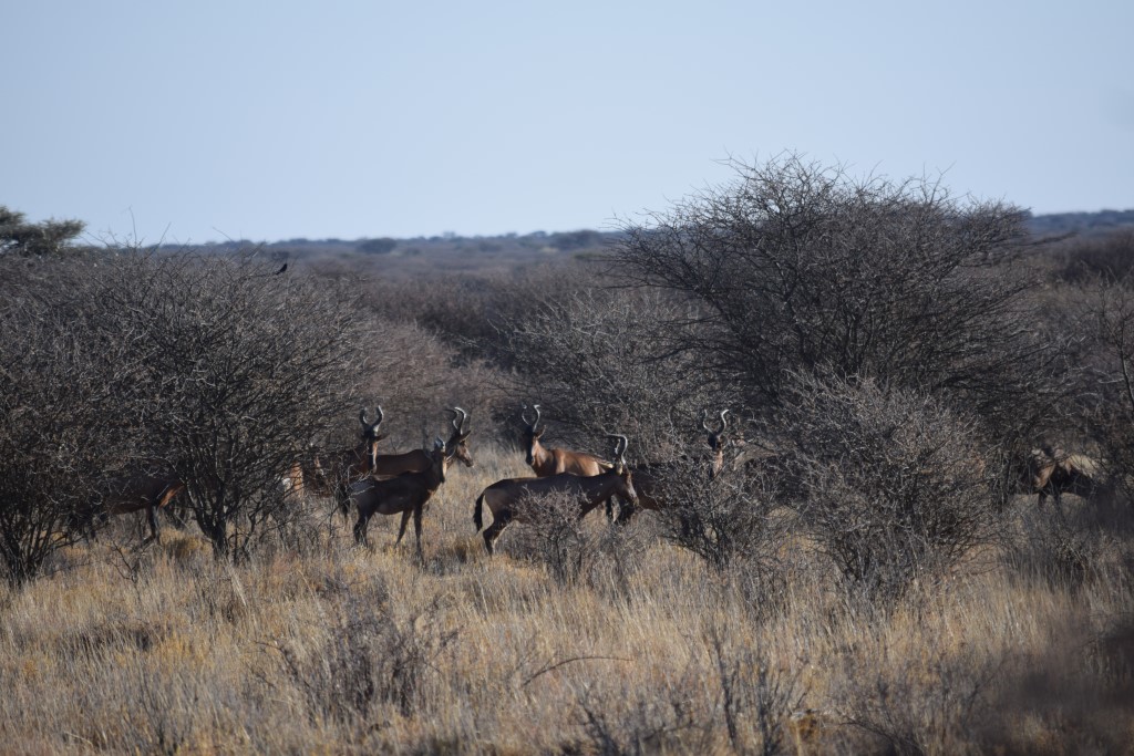 DSC_0020.jpg