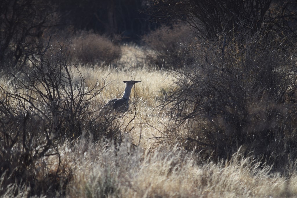 DSC_0024.jpg