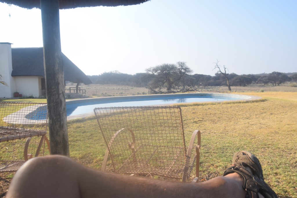 DSC_0130.jpg