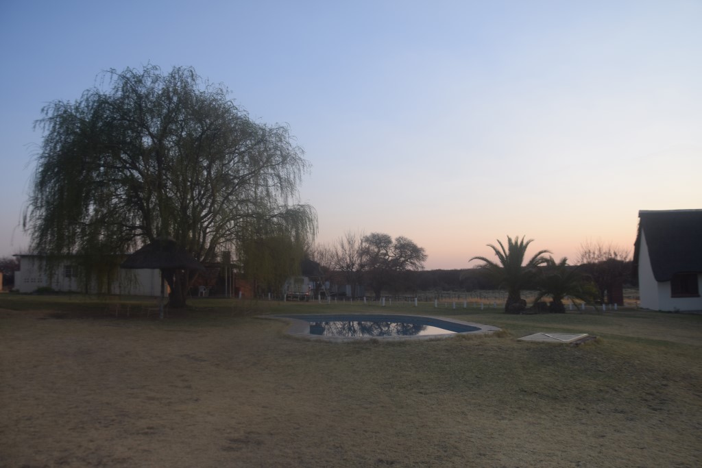 DSC_0207.jpg