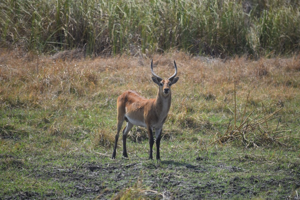DSC_0454.jpg