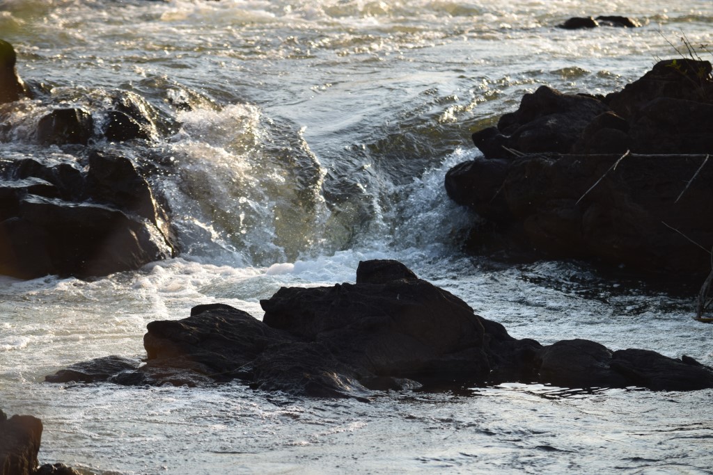 DSC_0562.jpg