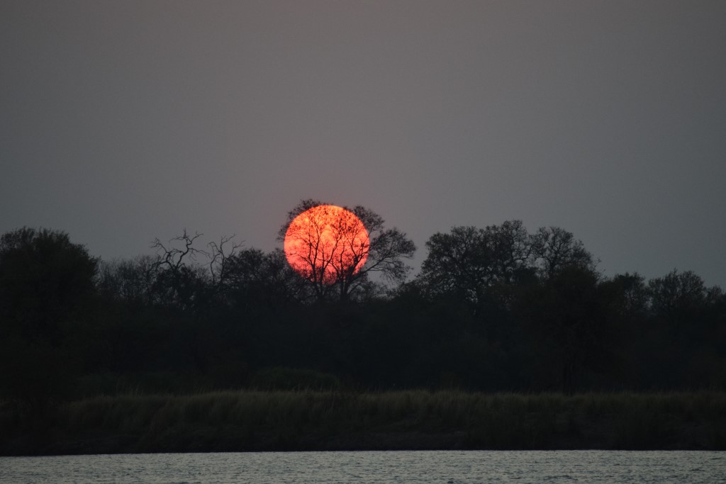 DSC_0654.jpg