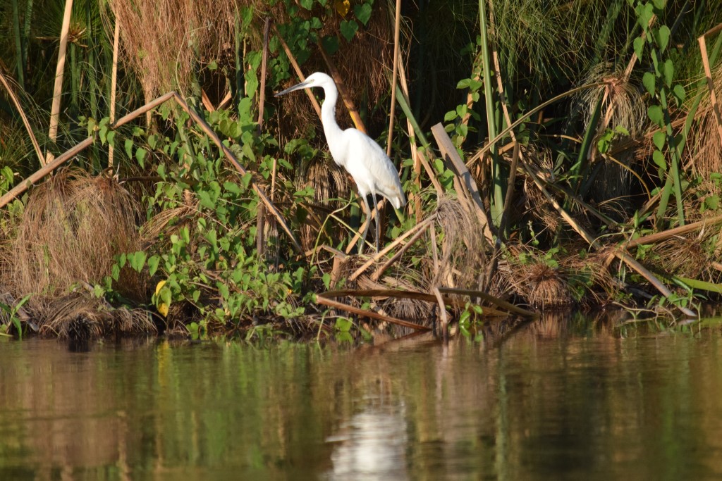 DSC_0715.jpg