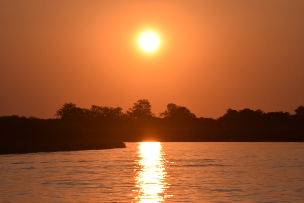 DSC_0793.jpg
