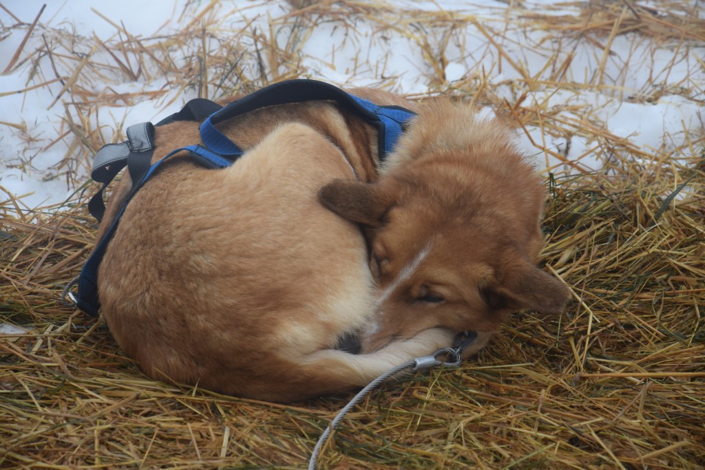 DSC_0137.jpg