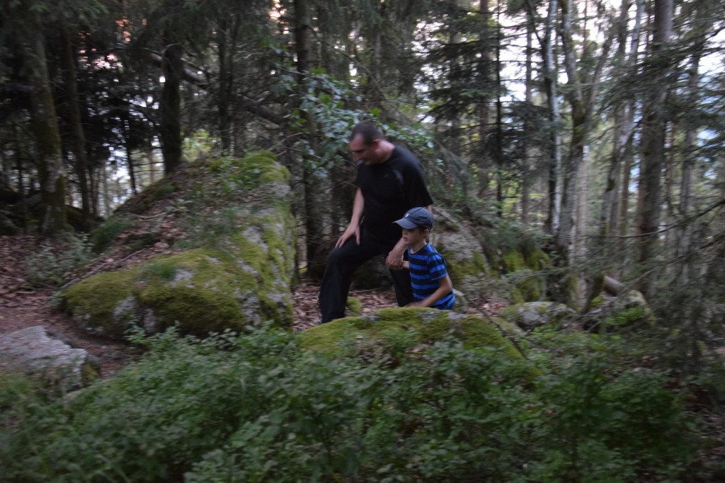 DSC_0519.jpg