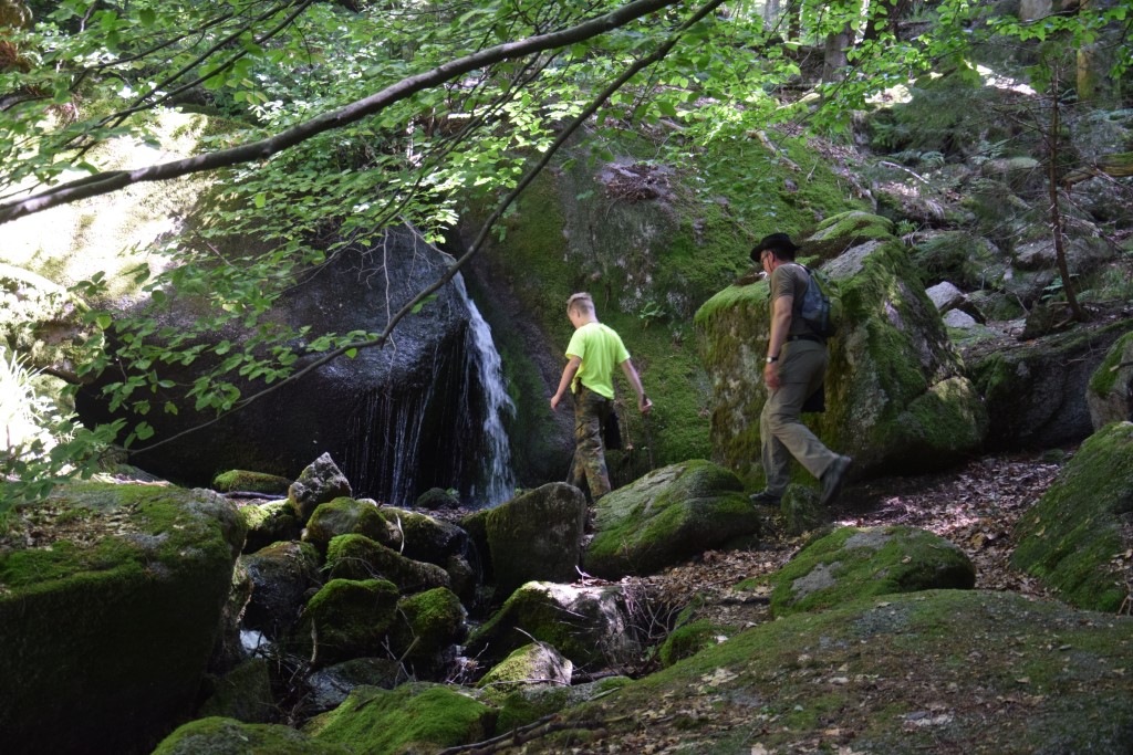DSC_0579.jpg