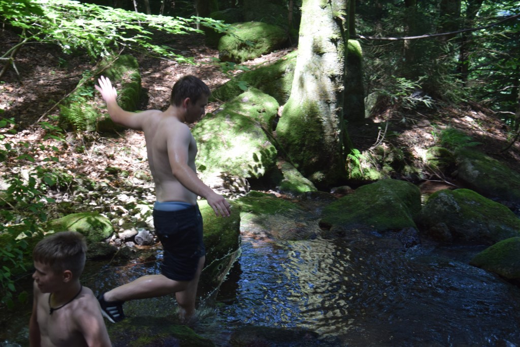 DSC_0676.jpg