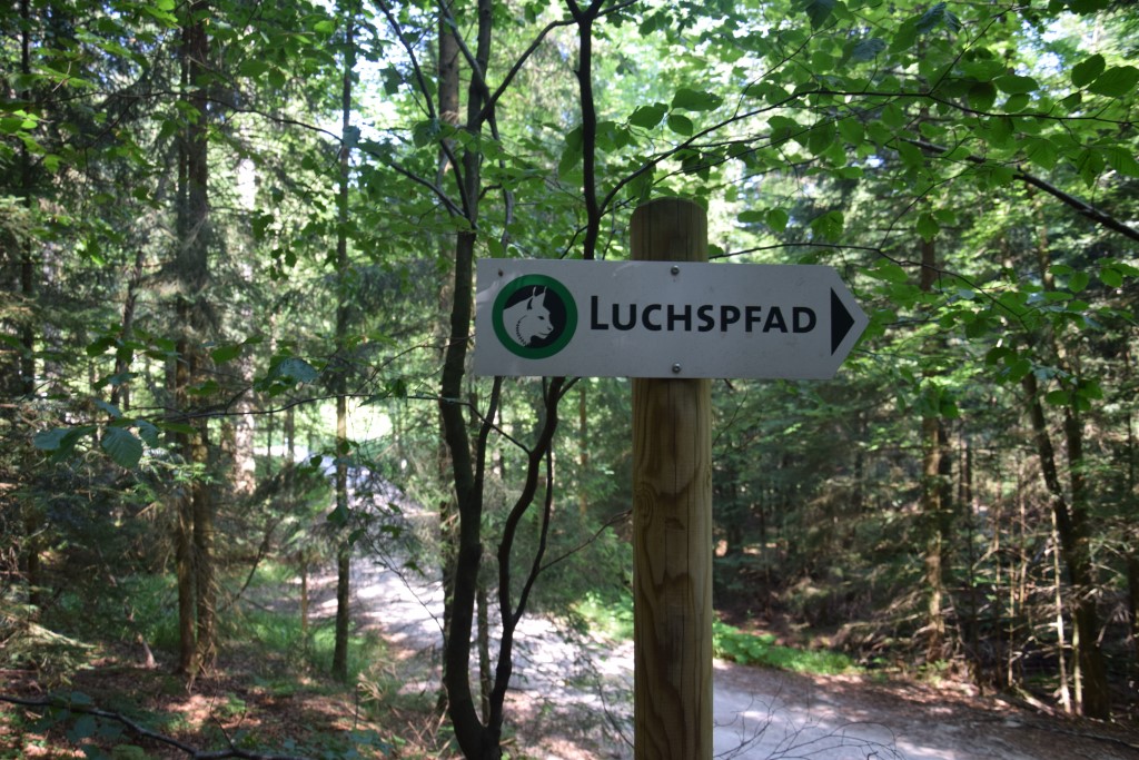 DSC_0895.jpg