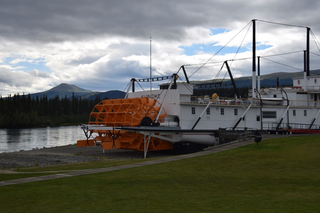 DSC_0001.jpg