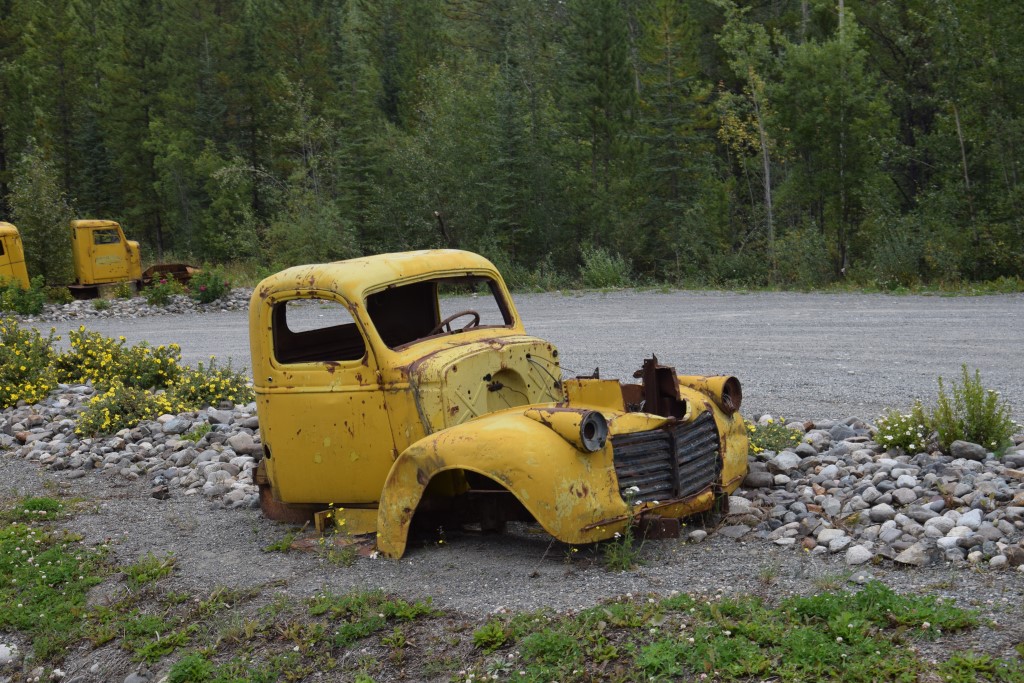DSC_0073.jpg