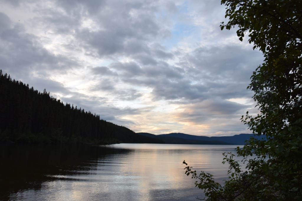 DSC_0094.jpg