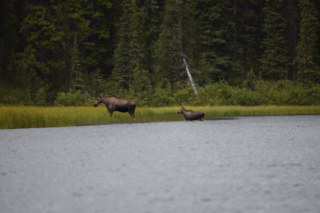 DSC_0114.jpg