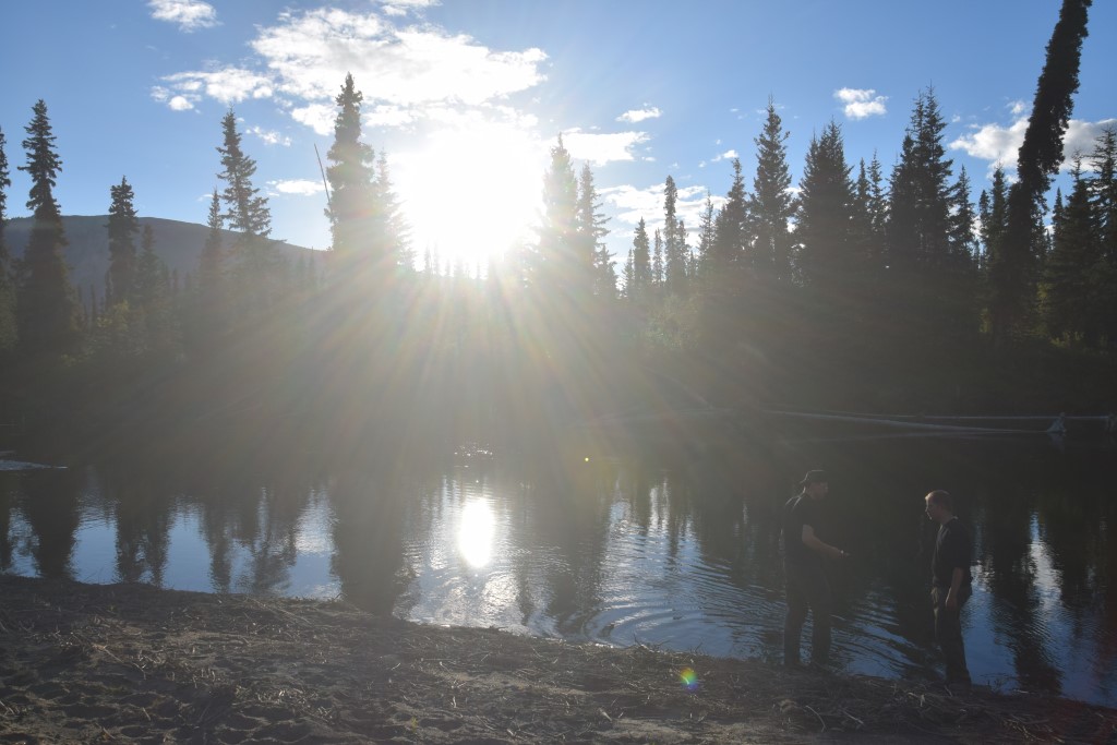 DSC_0188.jpg