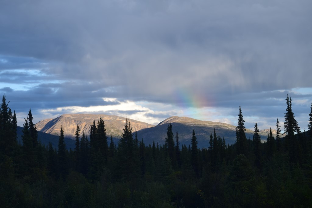 DSC_0267.jpg