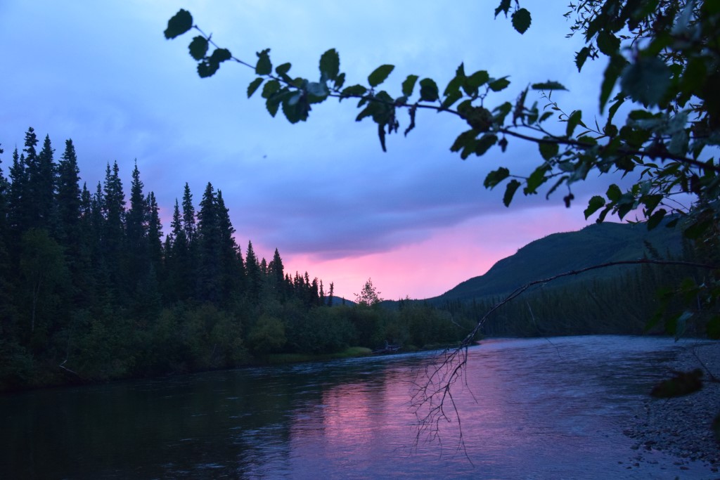 DSC_0381.jpg