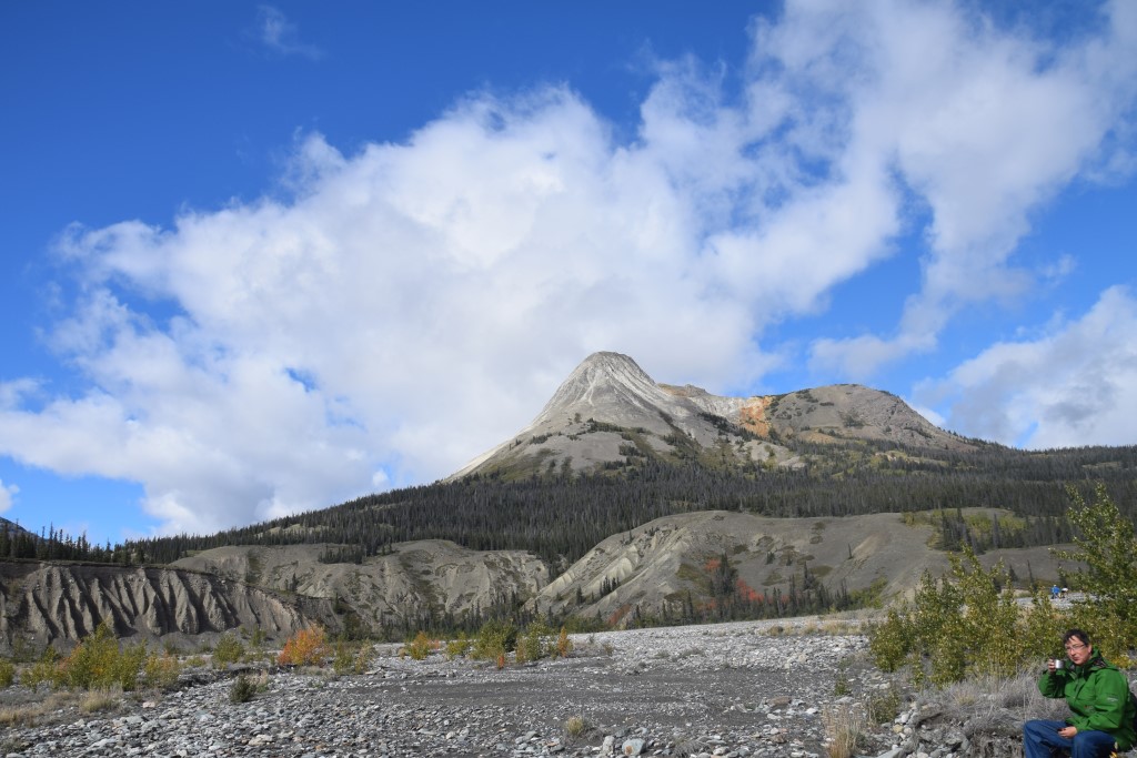 DSC_0701.jpg