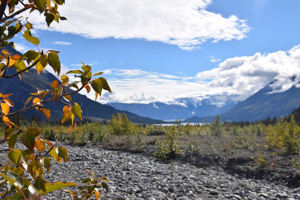 DSC_0707.jpg