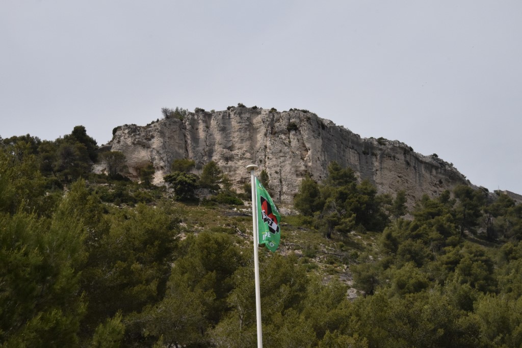 DSC_0006.jpg