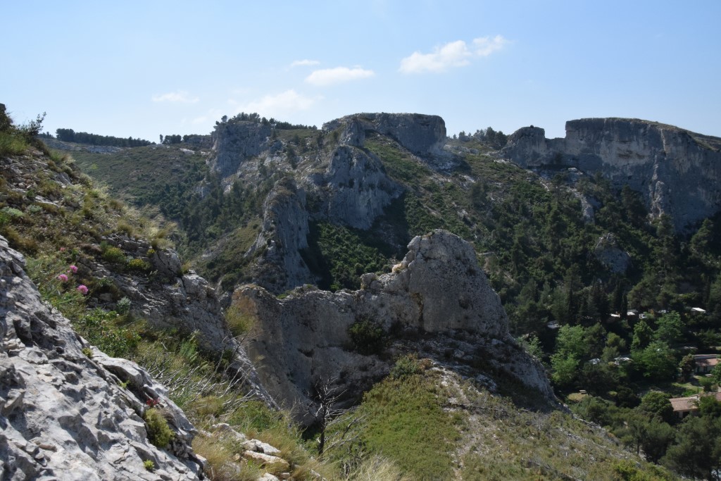 DSC_0260.jpg
