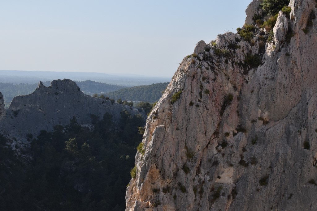 DSC_0458.jpg