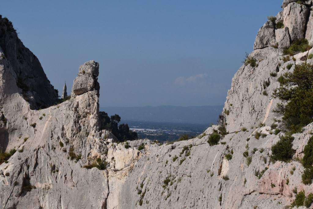 DSC_0460.jpg