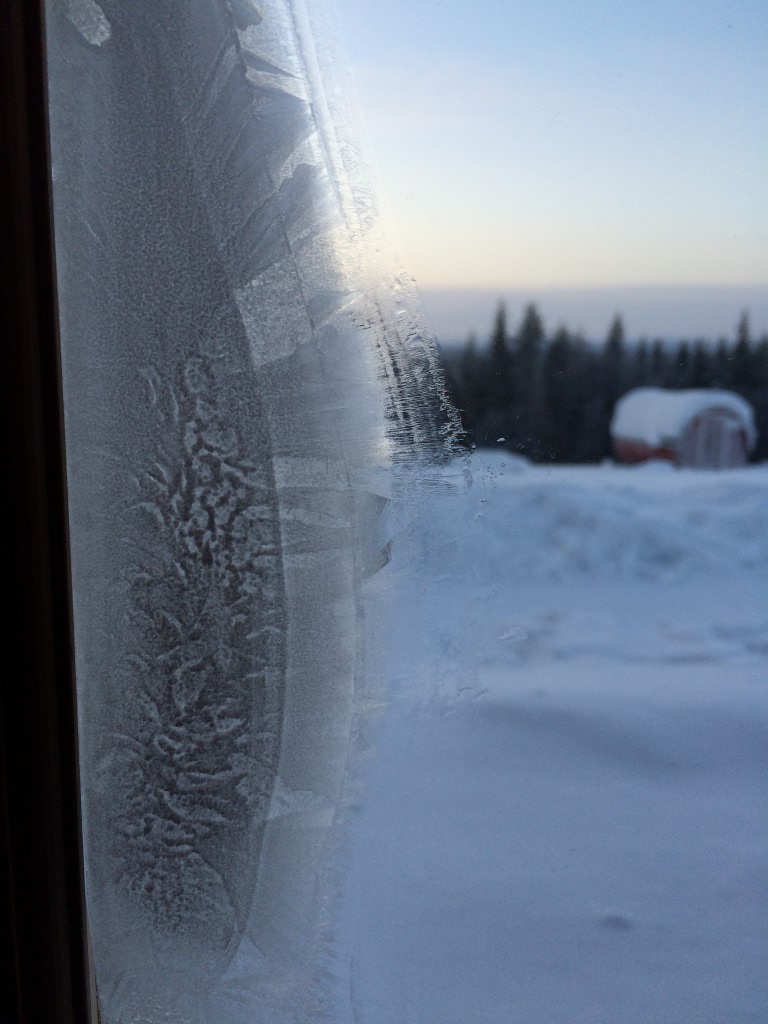 DSC_0032.jpg