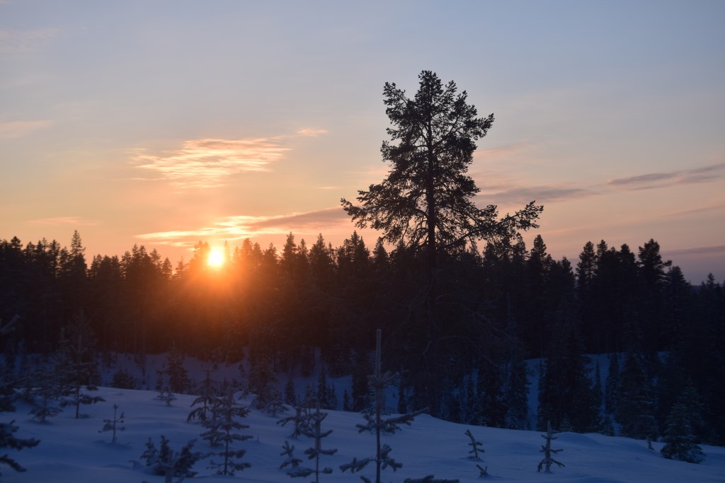 DSC_0074.jpg