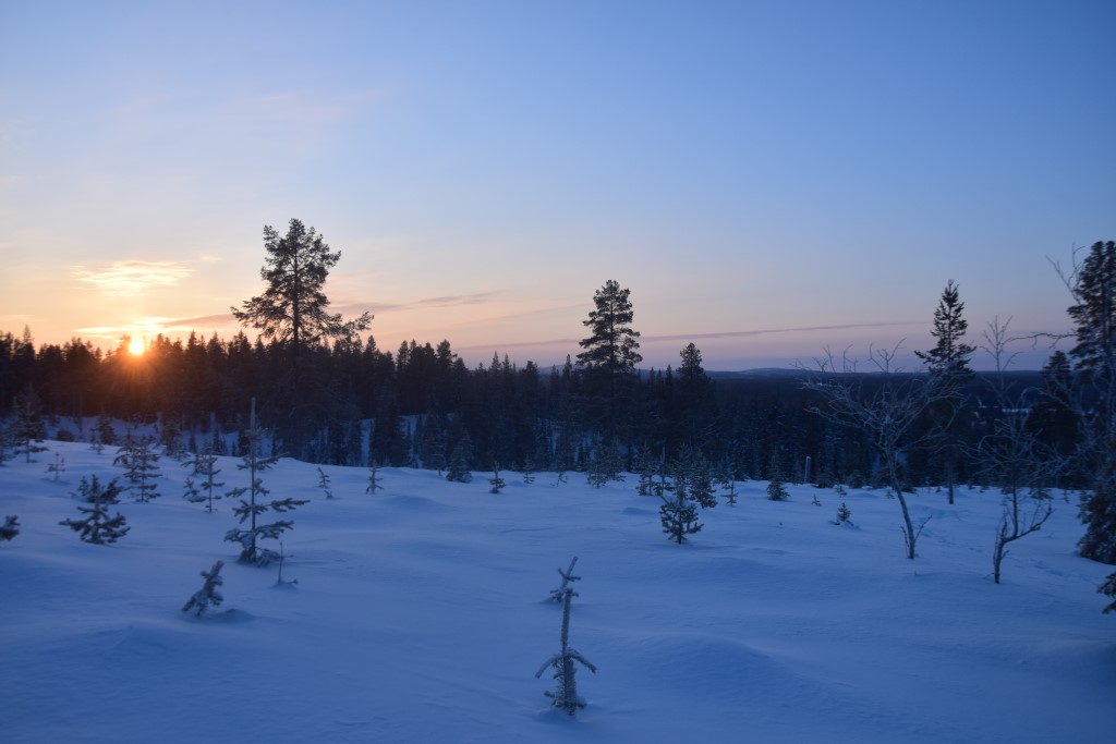 DSC_0076.jpg