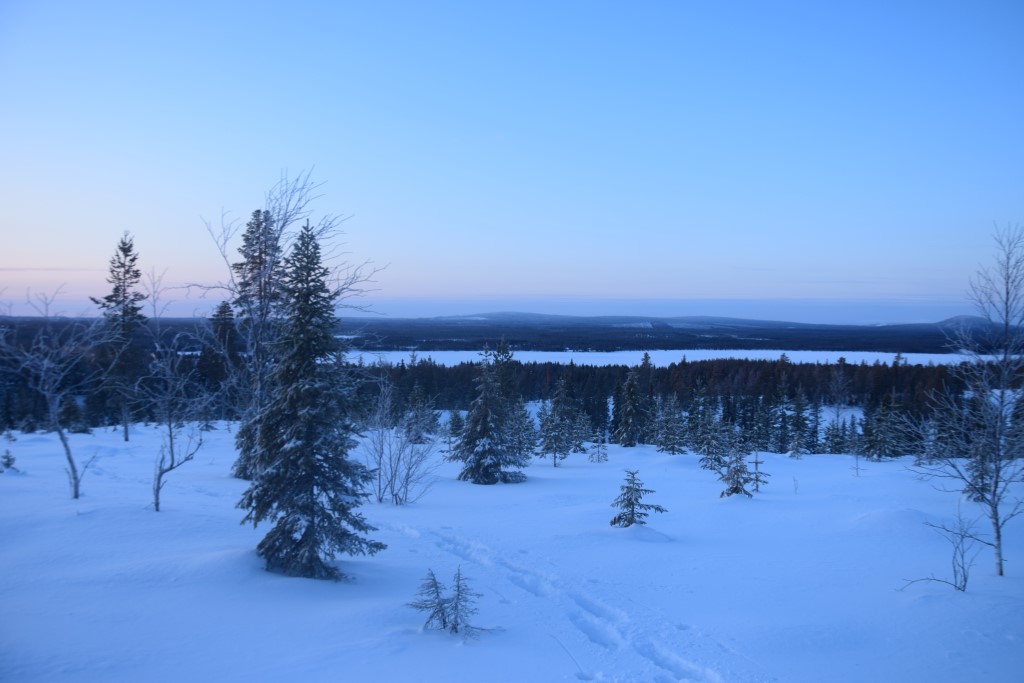 DSC_0077.jpg